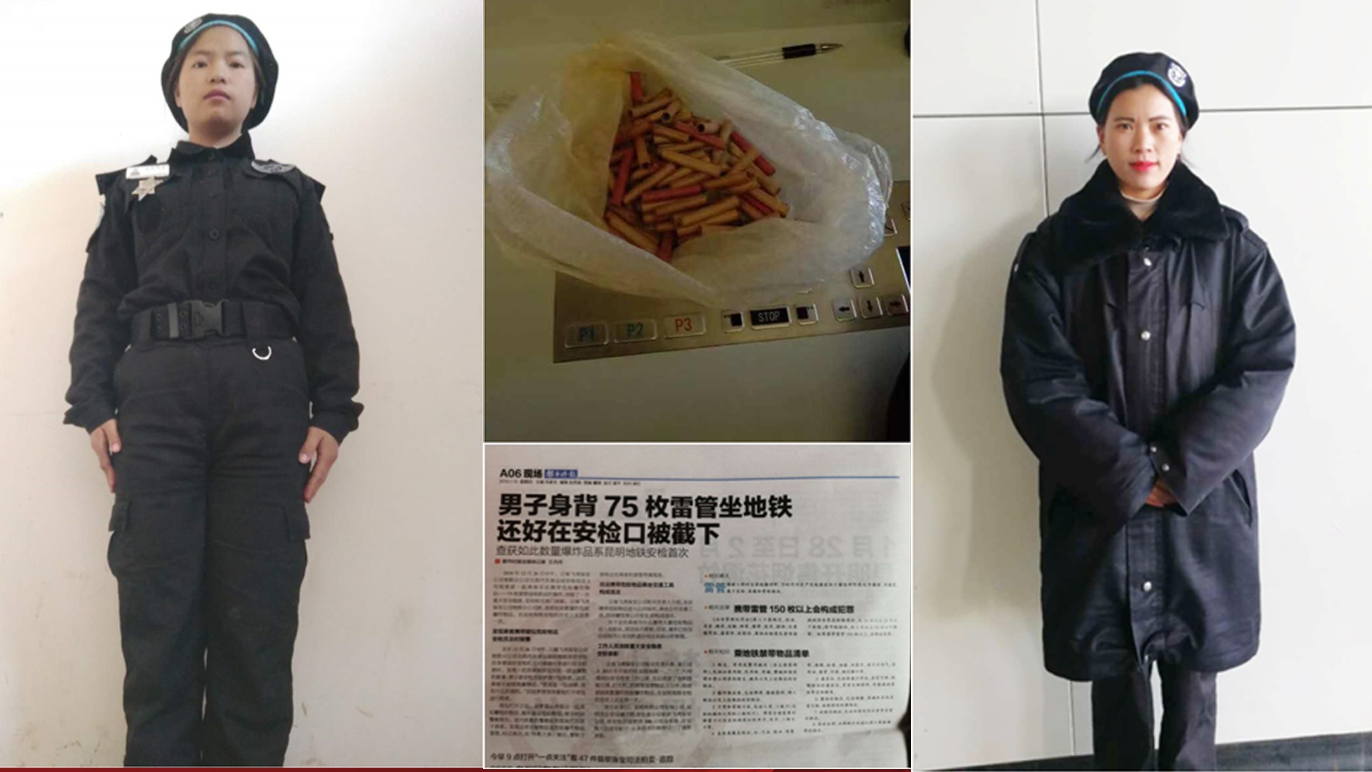 飞虎集团 通航 安保 宠物