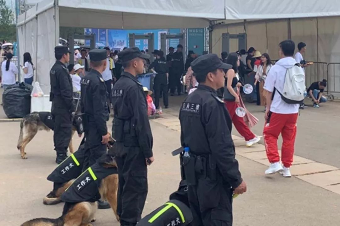 undefined 服务涵盖昆明无人机培训、昆明保安服务、昆明物业服务、昆明宠物医疗美容、昆明职业技能培训服务、昆明广告策划、昆明安防监控。