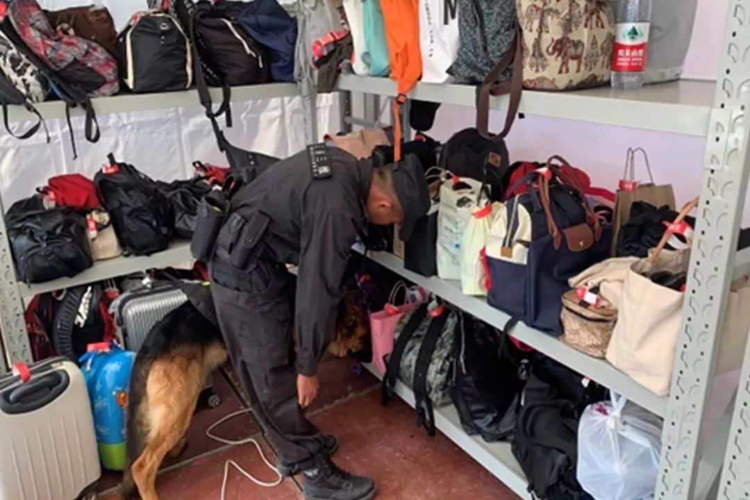 undefined 服务涵盖昆明无人机培训、昆明保安服务、昆明物业服务、昆明宠物医疗美容、昆明职业技能培训服务、昆明广告策划、昆明安防监控。