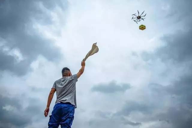 飞虎集团 通航 安保 宠物