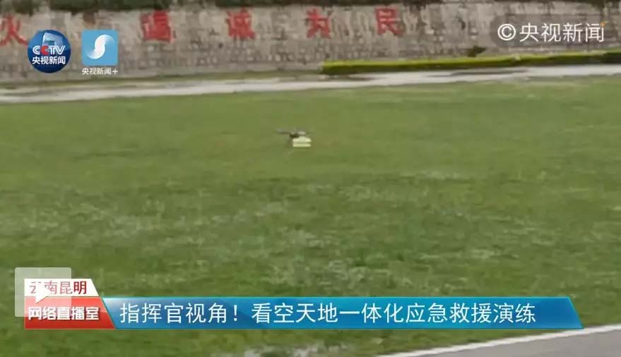 飞虎集团 通航 安保 宠物