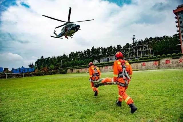 飞虎集团 通航 安保 宠物