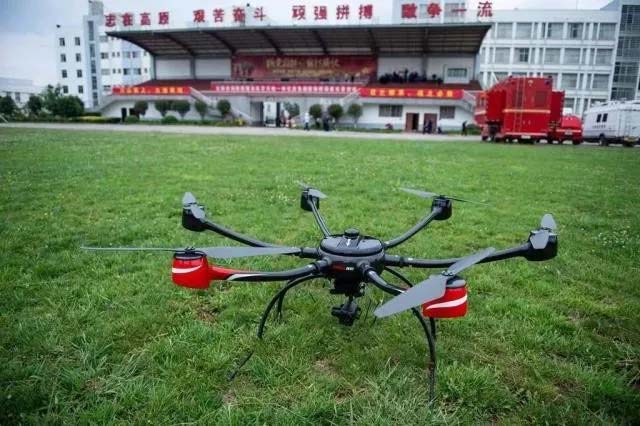 飞虎集团 通航 安保 宠物