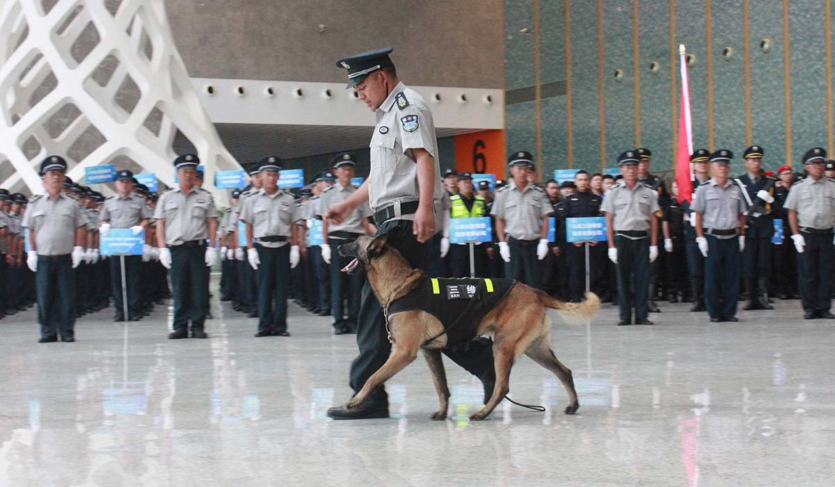 服务涵盖昆明无人机培训、昆明保安服务、昆明物业服务、昆明宠物医疗美容、昆明职业技能培训服务、昆明广告策划、昆明安防监控。