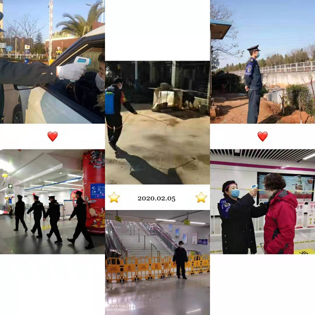 飞虎集团 通航 安保 宠物