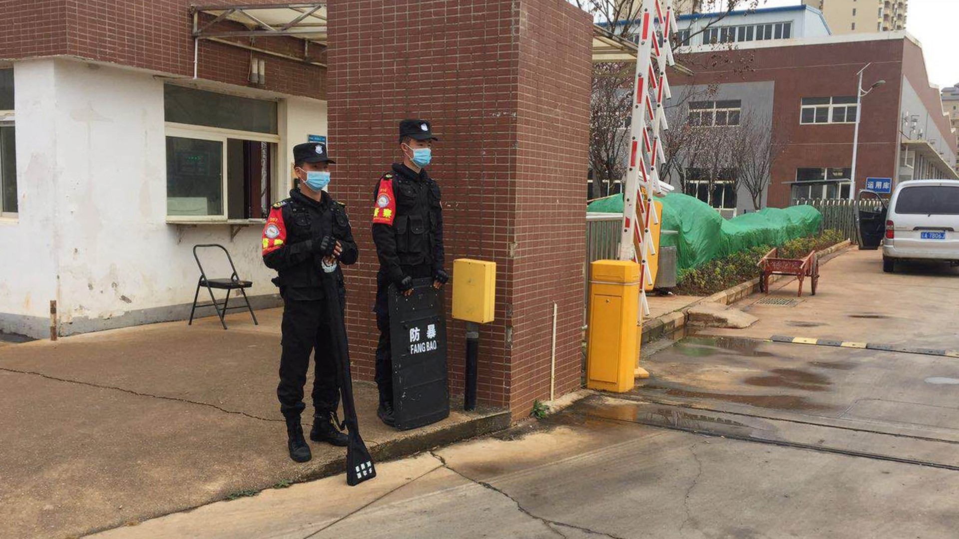 飞虎集团 通航 安保 宠物