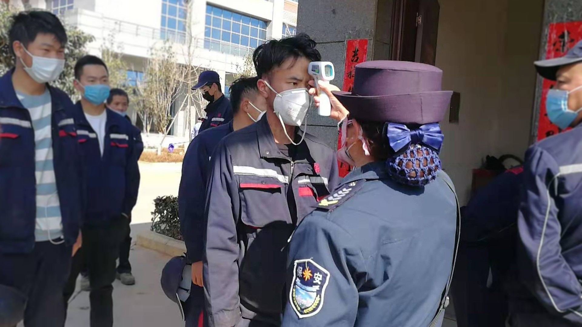 飞虎集团 通航 安保 宠物