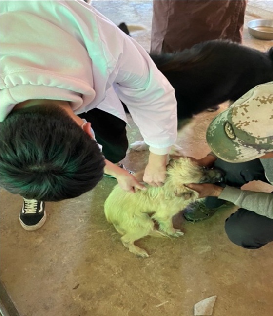 服务涵盖昆明无人机培训、昆明保安服务、昆明物业服务、昆明宠物医疗美容、昆明职业技能培训服务、昆明广告策划、昆明安防监控。