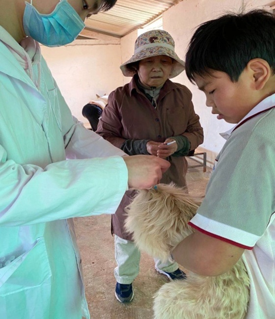 服务涵盖昆明无人机培训、昆明保安服务、昆明物业服务、昆明宠物医疗美容、昆明职业技能培训服务、昆明广告策划、昆明安防监控。