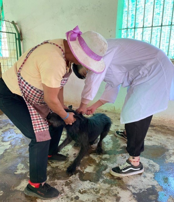 服务涵盖昆明无人机培训、昆明保安服务、昆明物业服务、昆明宠物医疗美容、昆明职业技能培训服务、昆明广告策划、昆明安防监控。