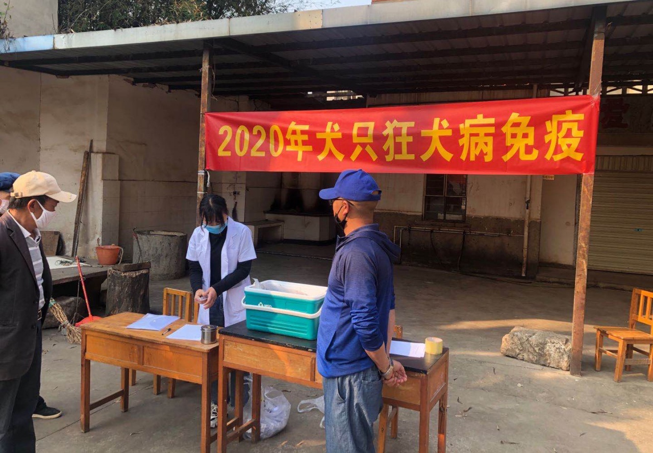 服务涵盖昆明无人机培训、昆明保安服务、昆明物业服务、昆明宠物医疗美容、昆明职业技能培训服务、昆明广告策划、昆明安防监控。