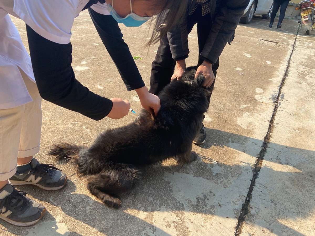 服务涵盖昆明无人机培训、昆明保安服务、昆明物业服务、昆明宠物医疗美容、昆明职业技能培训服务、昆明广告策划、昆明安防监控。