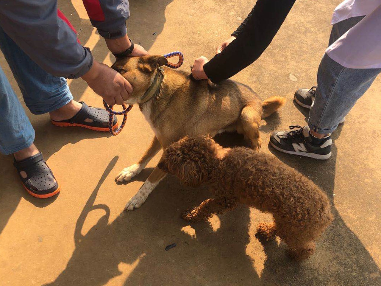 服务涵盖昆明无人机培训、昆明保安服务、昆明物业服务、昆明宠物医疗美容、昆明职业技能培训服务、昆明广告策划、昆明安防监控。