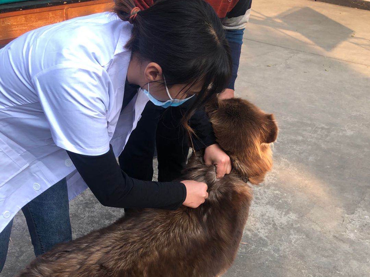 服务涵盖昆明无人机培训、昆明保安服务、昆明物业服务、昆明宠物医疗美容、昆明职业技能培训服务、昆明广告策划、昆明安防监控。