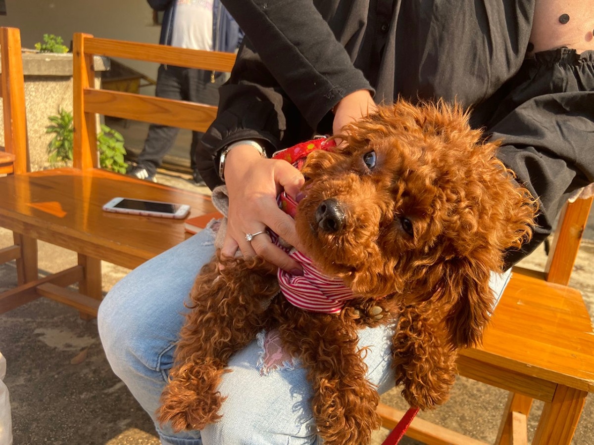 服务涵盖昆明无人机培训、昆明保安服务、昆明物业服务、昆明宠物医疗美容、昆明职业技能培训服务、昆明广告策划、昆明安防监控。