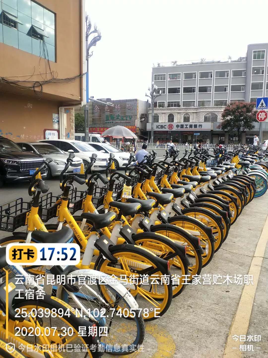 服务涵盖昆明无人机培训、昆明保安服务、昆明物业服务、昆明宠物医疗美容、昆明职业技能培训服务、昆明广告策划、昆明安防监控。