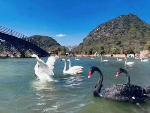 昆明无人机培训，昆明无人机应用，云南保安公司