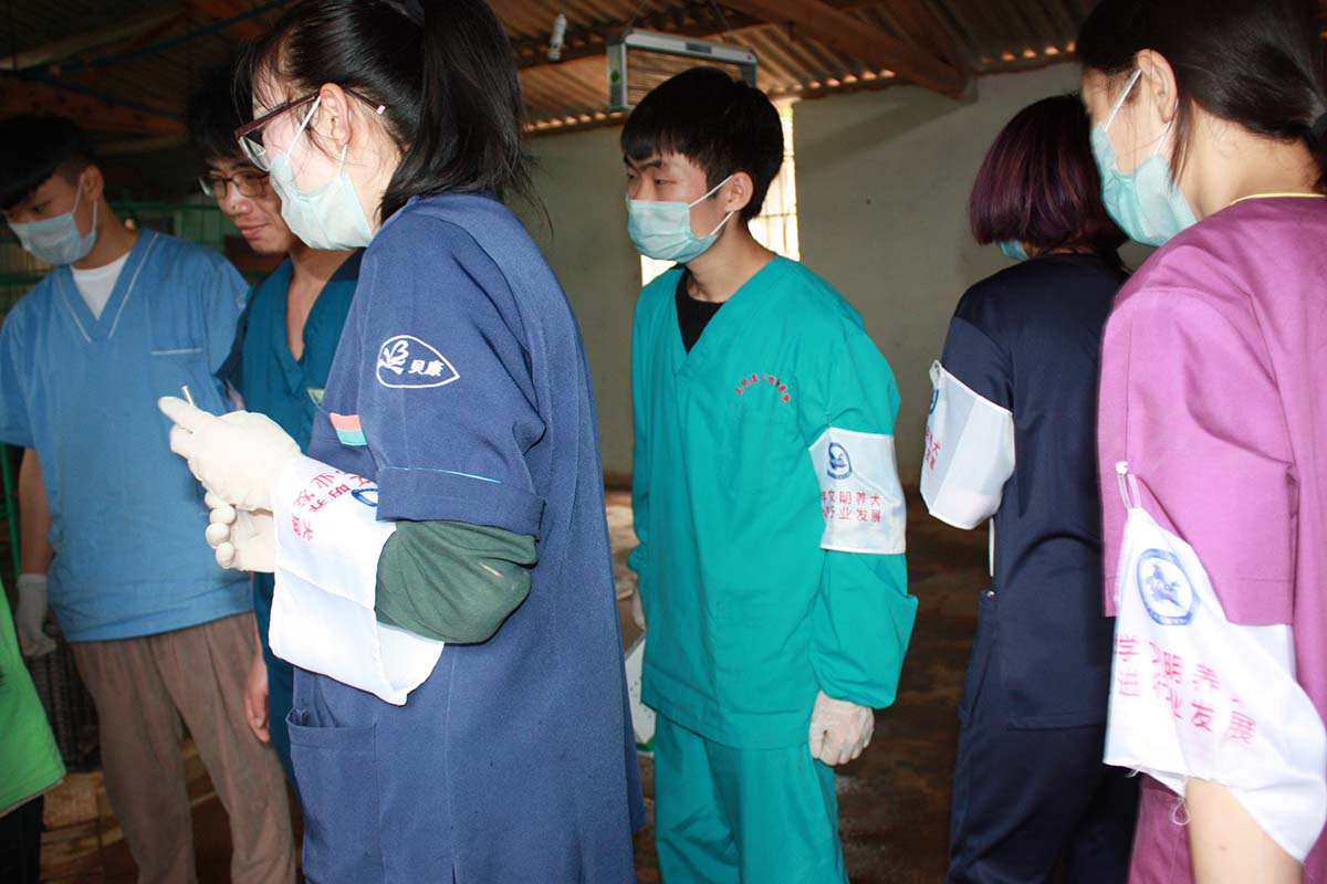 1618820402531594.jpg 03.jpg