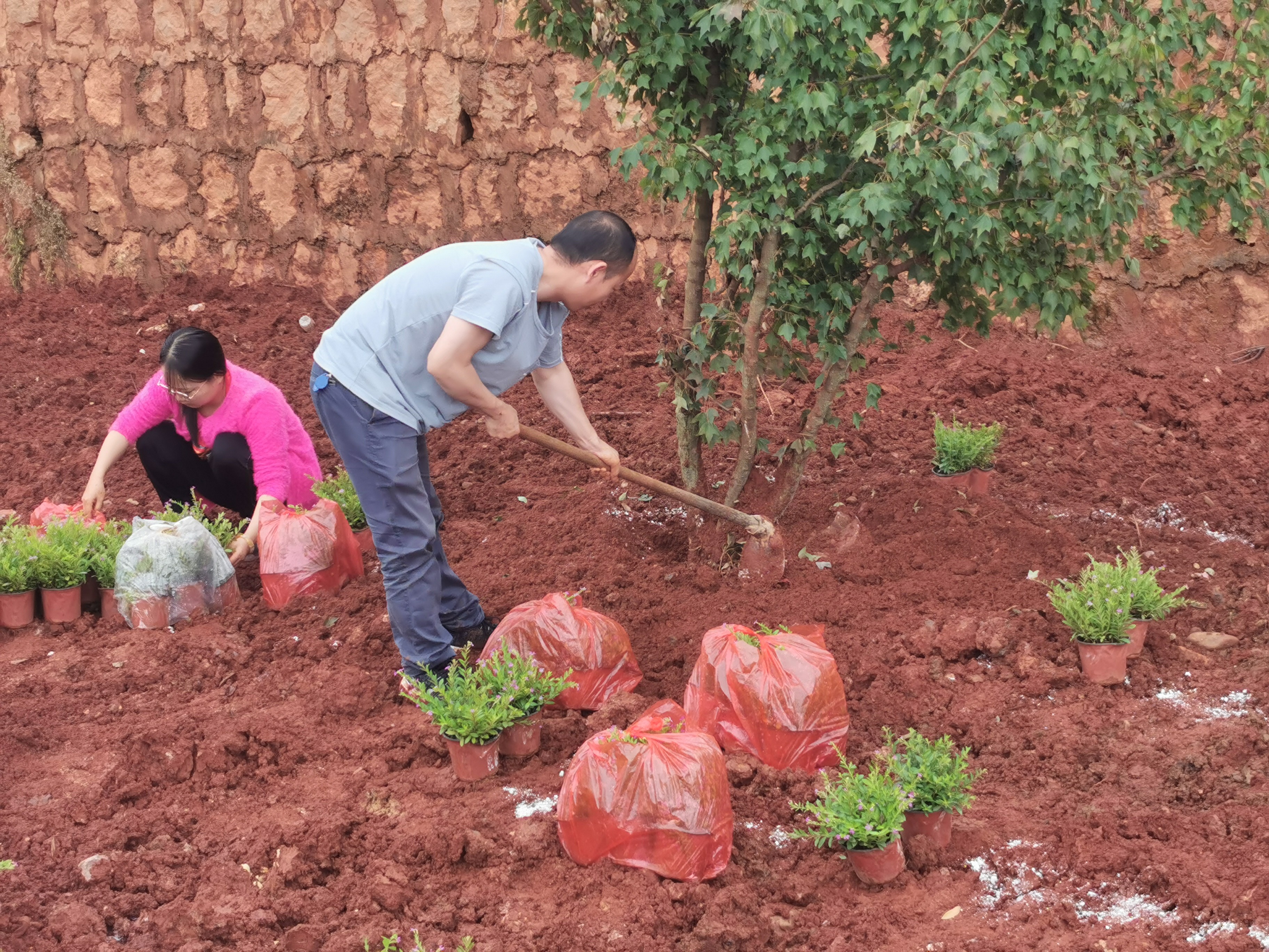 服务涵盖昆明无人机培训、昆明保安服务、昆明物业服务、昆明宠物医疗美容、昆明职业技能培训服务、昆明广告策划、昆明安防监控。