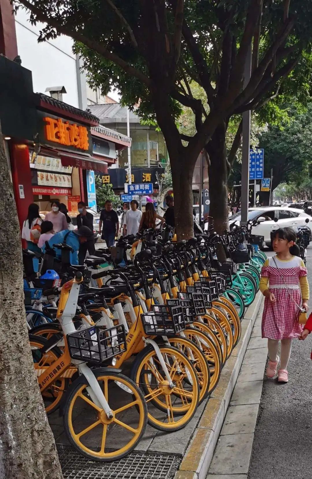 服务涵盖昆明无人机培训、昆明保安服务、昆明物业服务、昆明宠物医疗美容、昆明职业技能培训服务、昆明广告策划、昆明安防监控。