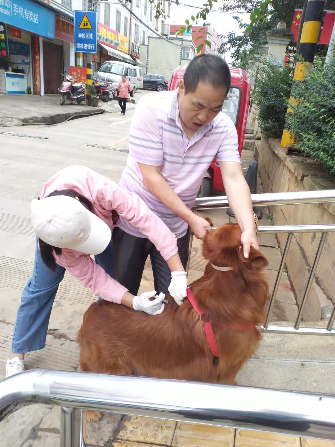 服务涵盖昆明无人机培训、昆明保安服务、昆明物业服务、昆明宠物医疗美容、昆明职业技能培训服务、昆明广告策划、昆明安防监控。