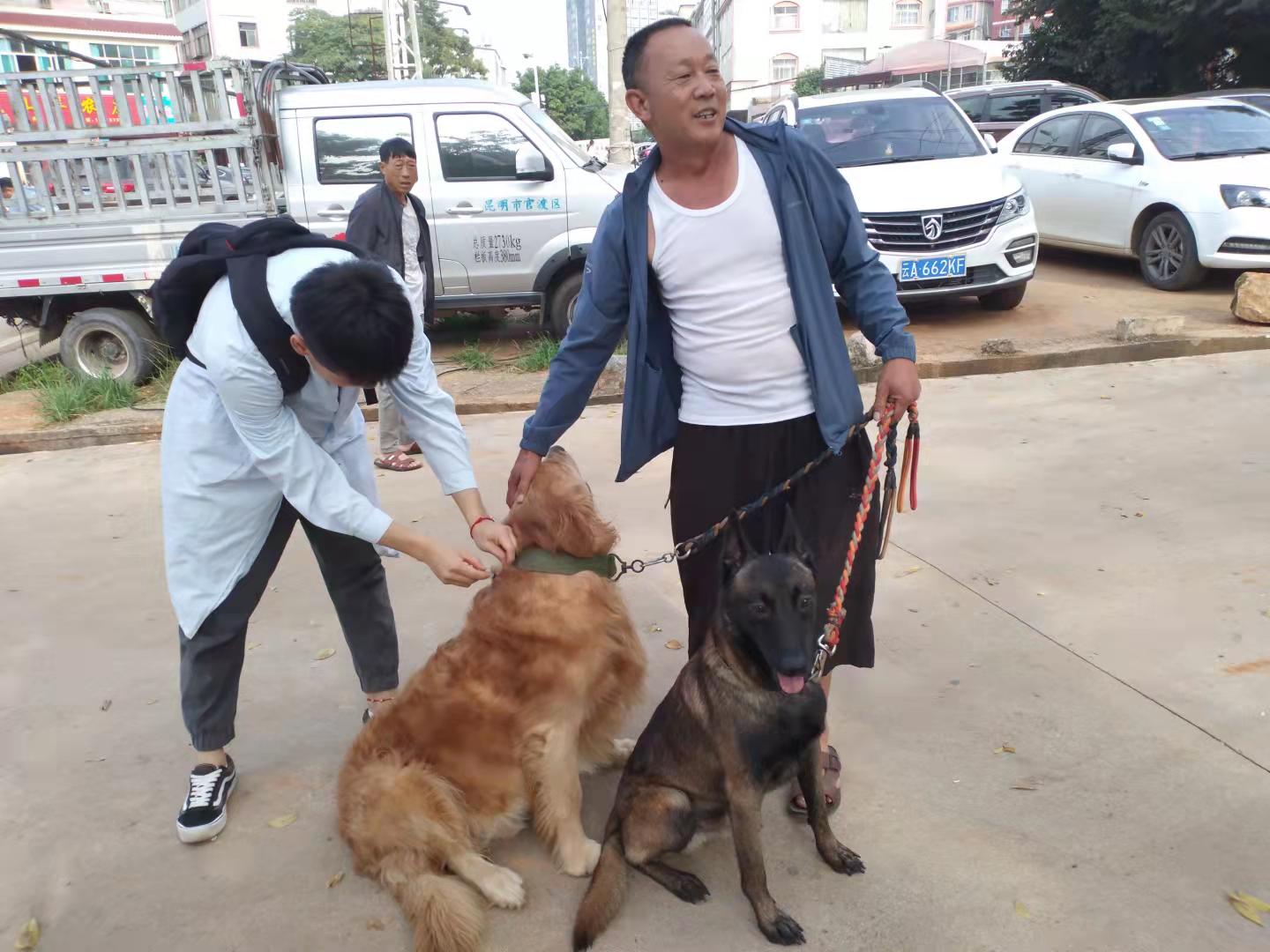 服务涵盖昆明无人机培训、昆明保安服务、昆明物业服务、昆明宠物医疗美容、昆明职业技能培训服务、昆明广告策划、昆明安防监控。