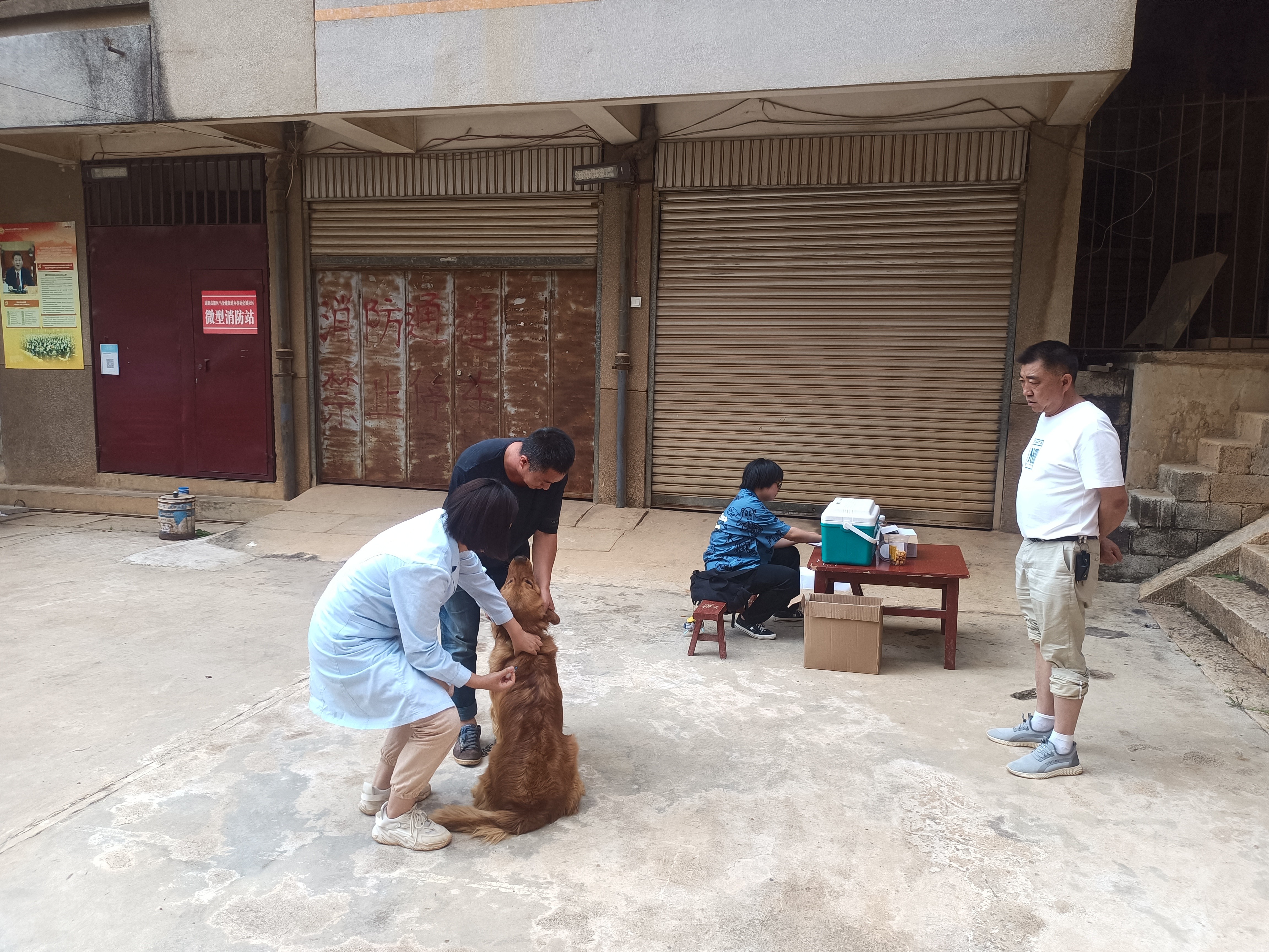 服务涵盖昆明无人机培训、昆明保安服务、昆明物业服务、昆明宠物医疗美容、昆明职业技能培训服务、昆明广告策划、昆明安防监控。