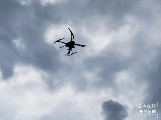 服务涵盖昆明无人机培训、昆明保安服务、昆明物业服务、昆明宠物医疗美容、昆明职业技能培训服务、昆明广告策划、昆明安防监控。