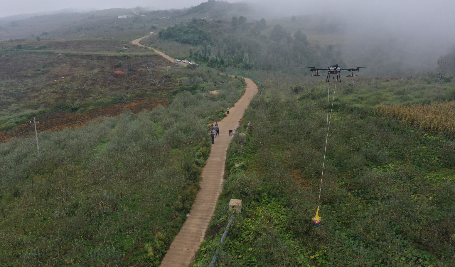 服务涵盖昆明无人机培训、昆明保安服务、昆明物业服务、昆明宠物医疗美容、昆明职业技能培训服务、昆明广告策划、昆明安防监控。
