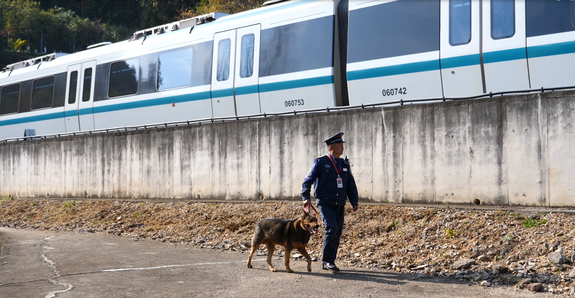 服务涵盖昆明无人机培训、昆明保安服务、昆明物业服务、昆明宠物医疗美容、昆明职业技能培训服务、昆明广告策划、昆明安防监控。
