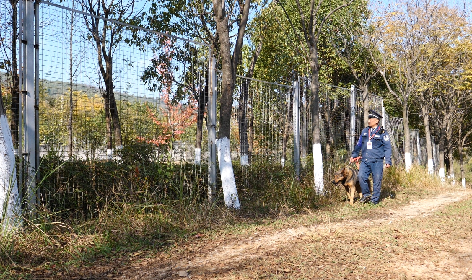 服务涵盖昆明无人机培训、昆明保安服务、昆明物业服务、昆明宠物医疗美容、昆明职业技能培训服务、昆明广告策划、昆明安防监控。