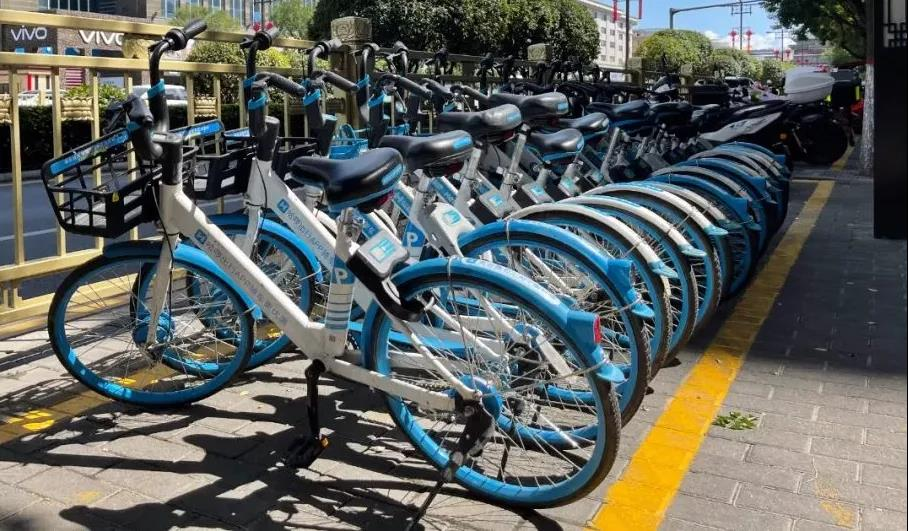 服务涵盖昆明无人机培训、昆明保安服务、昆明物业服务、昆明宠物医疗美容、昆明职业技能培训服务、昆明广告策划、昆明安防监控。