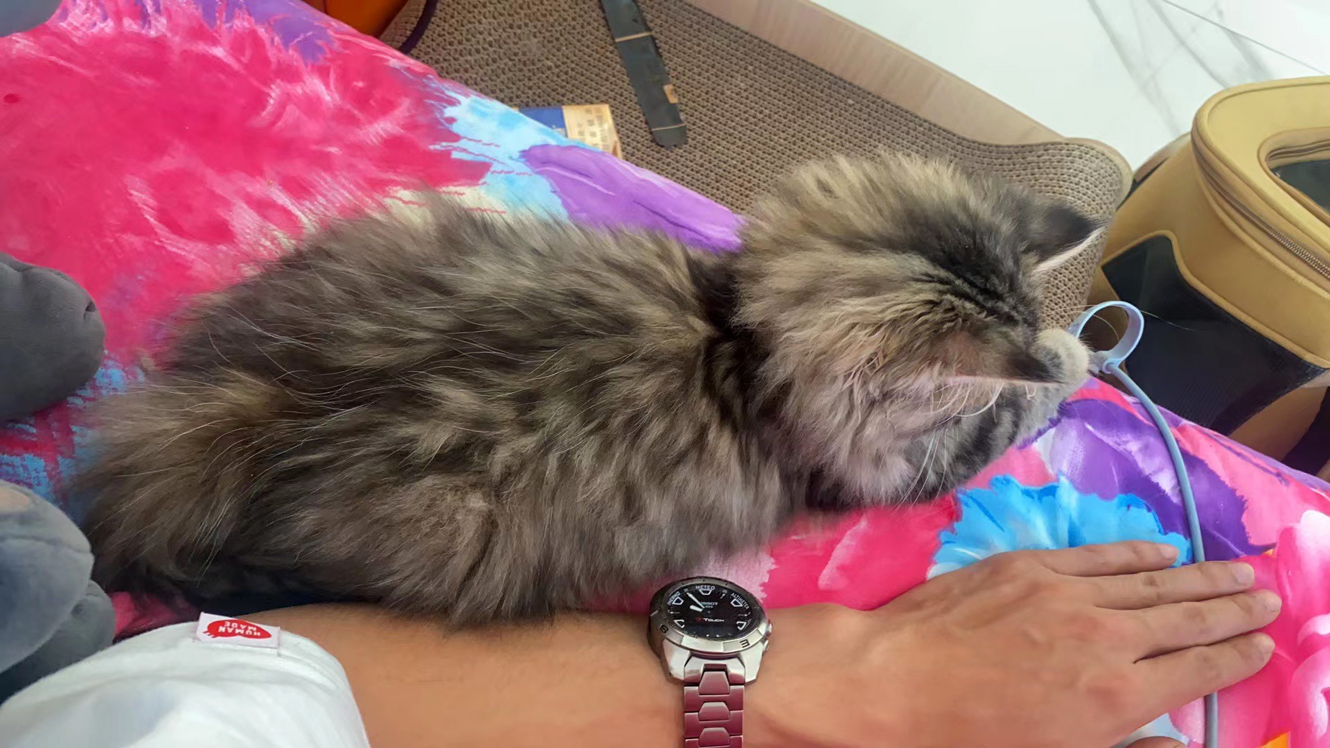 服务涵盖昆明无人机培训、昆明保安服务、昆明物业服务、昆明宠物医疗美容、昆明职业技能培训服务、昆明广告策划、昆明安防监控。