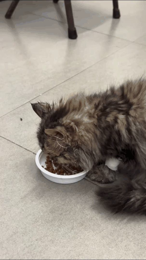 服务涵盖昆明无人机培训、昆明保安服务、昆明物业服务、昆明宠物医疗美容、昆明职业技能培训服务、昆明广告策划、昆明安防监控。