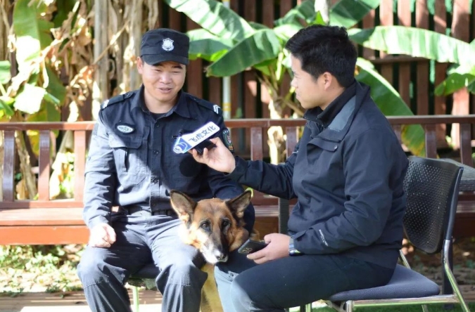 服务涵盖昆明无人机培训、昆明保安服务、昆明物业服务、昆明宠物医疗美容、昆明职业技能培训服务、昆明广告策划、昆明安防监控。