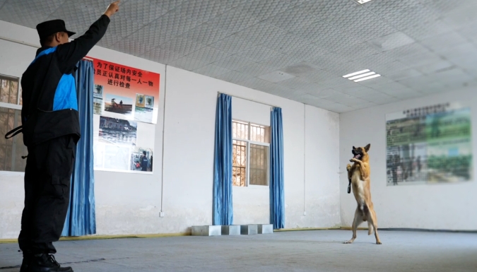 服务涵盖昆明无人机培训、昆明保安服务、昆明物业服务、昆明宠物医疗美容、昆明职业技能培训服务、昆明广告策划、昆明安防监控。