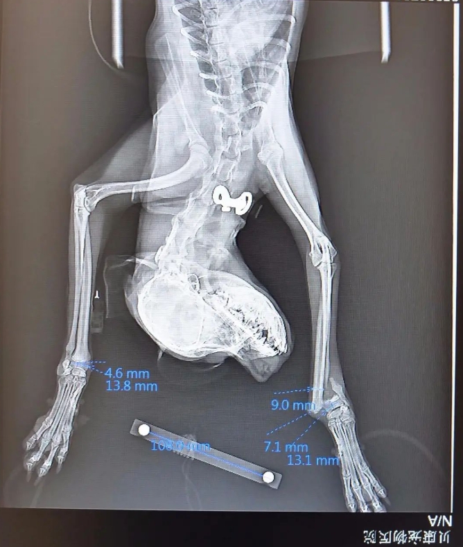 服务涵盖昆明无人机培训、昆明保安服务、昆明物业服务、昆明宠物医疗美容、昆明职业技能培训服务、昆明广告策划、昆明安防监控。