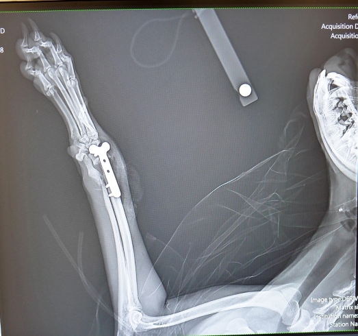 服务涵盖昆明无人机培训、昆明保安服务、昆明物业服务、昆明宠物医疗美容、昆明职业技能培训服务、昆明广告策划、昆明安防监控。