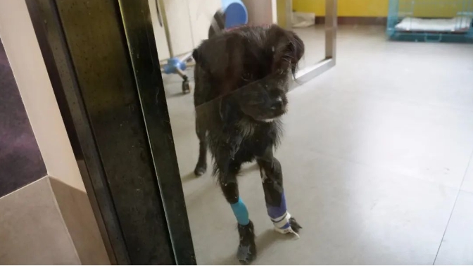 服务涵盖昆明无人机培训、昆明保安服务、昆明物业服务、昆明宠物医疗美容、昆明职业技能培训服务、昆明广告策划、昆明安防监控。