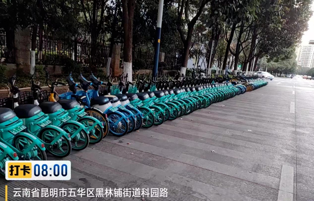 服务涵盖昆明无人机培训、昆明保安服务、昆明物业服务、昆明宠物医疗美容、昆明职业技能培训服务、昆明广告策划、昆明安防监控。