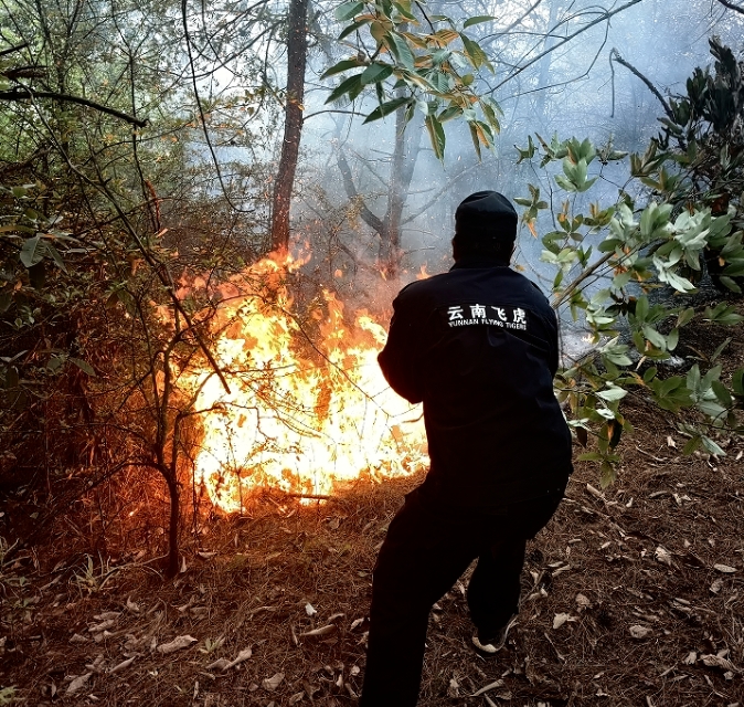 服务涵盖昆明无人机培训、昆明保安服务、昆明物业服务、昆明宠物医疗美容、昆明职业技能培训服务、昆明广告策划、昆明安防监控。