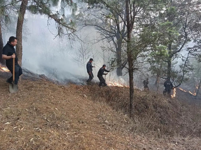 服务涵盖昆明无人机培训、昆明保安服务、昆明物业服务、昆明宠物医疗美容、昆明职业技能培训服务、昆明广告策划、昆明安防监控。