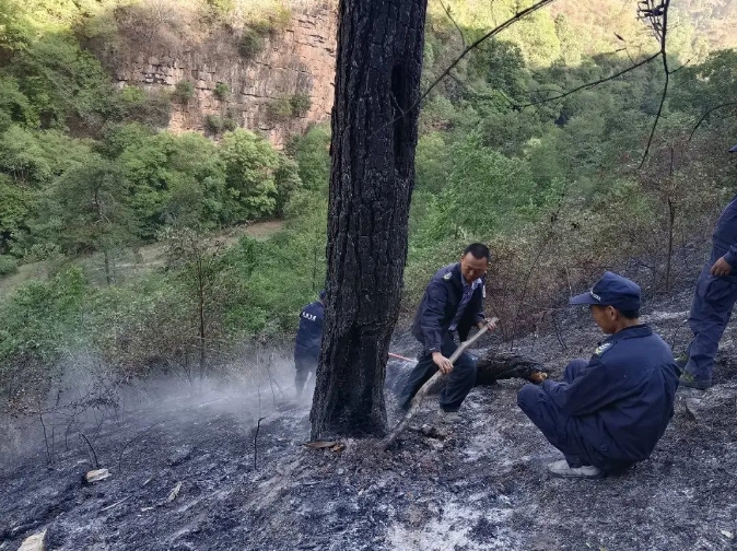 服务涵盖昆明无人机培训、昆明保安服务、昆明物业服务、昆明宠物医疗美容、昆明职业技能培训服务、昆明广告策划、昆明安防监控。