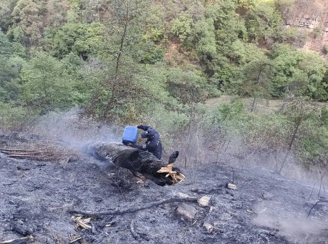 服务涵盖昆明无人机培训、昆明保安服务、昆明物业服务、昆明宠物医疗美容、昆明职业技能培训服务、昆明广告策划、昆明安防监控。