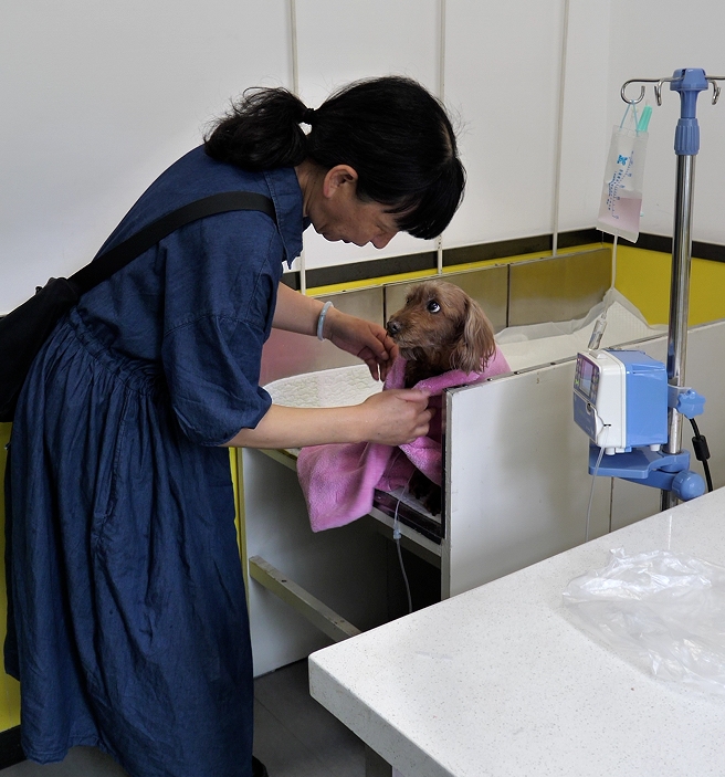 服务涵盖昆明无人机培训、昆明保安服务、昆明物业服务、昆明宠物医疗美容、昆明职业技能培训服务、昆明广告策划、昆明安防监控。