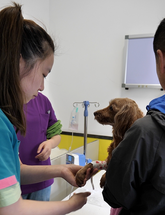 服务涵盖昆明无人机培训、昆明保安服务、昆明物业服务、昆明宠物医疗美容、昆明职业技能培训服务、昆明广告策划、昆明安防监控。