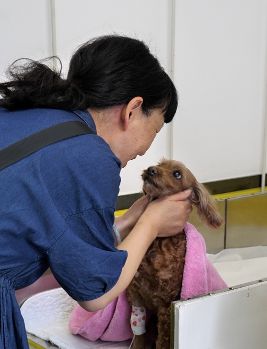 服务涵盖昆明无人机培训、昆明保安服务、昆明物业服务、昆明宠物医疗美容、昆明职业技能培训服务、昆明广告策划、昆明安防监控。