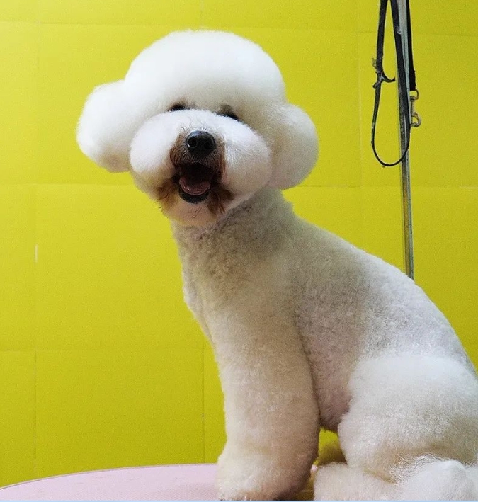 服务涵盖昆明无人机培训、昆明保安服务、昆明物业服务、昆明宠物医疗美容、昆明职业技能培训服务、昆明广告策划、昆明安防监控。