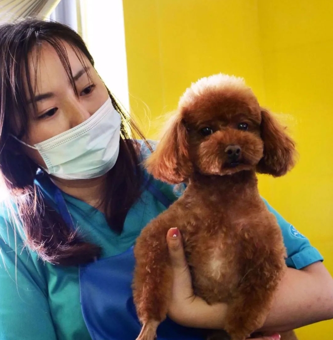 服务涵盖昆明无人机培训、昆明保安服务、昆明物业服务、昆明宠物医疗美容、昆明职业技能培训服务、昆明广告策划、昆明安防监控。