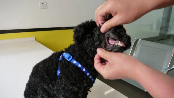 服务涵盖昆明无人机培训、昆明保安服务、昆明物业服务、昆明宠物医疗美容、昆明职业技能培训服务、昆明广告策划、昆明安防监控。